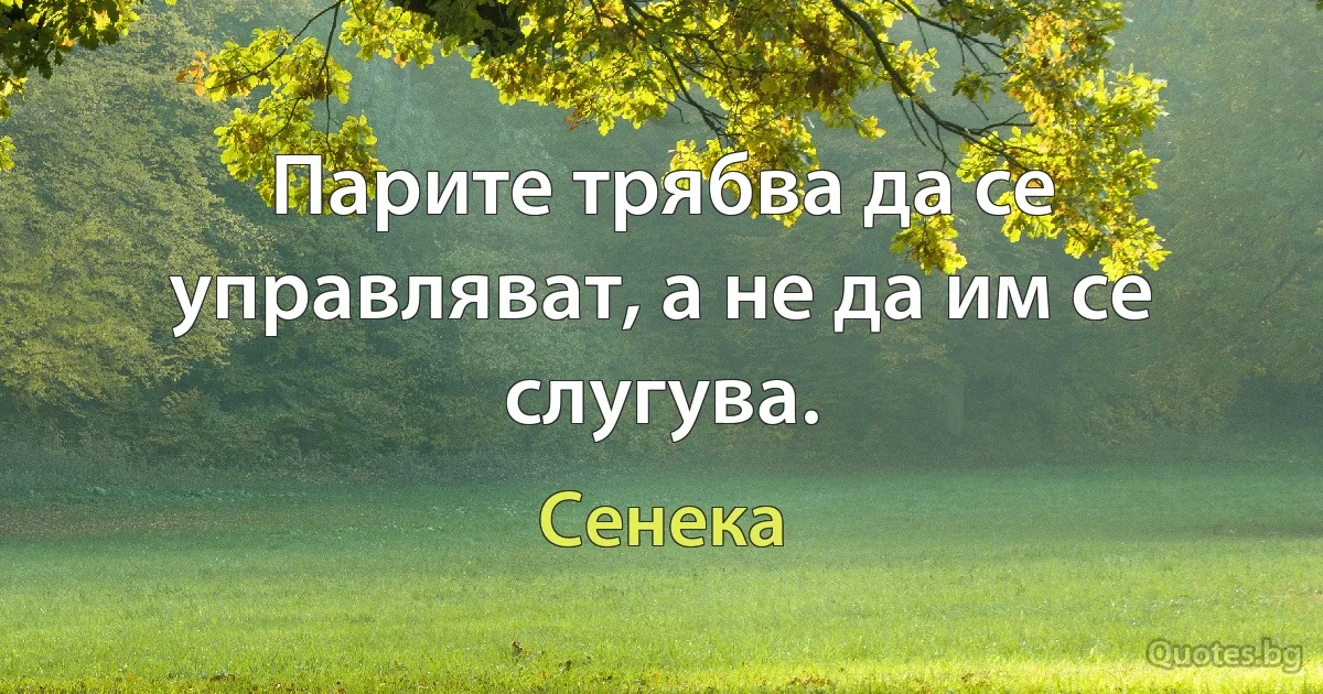 Парите трябва да се управляват, а не да им се слугува. (Сенека)