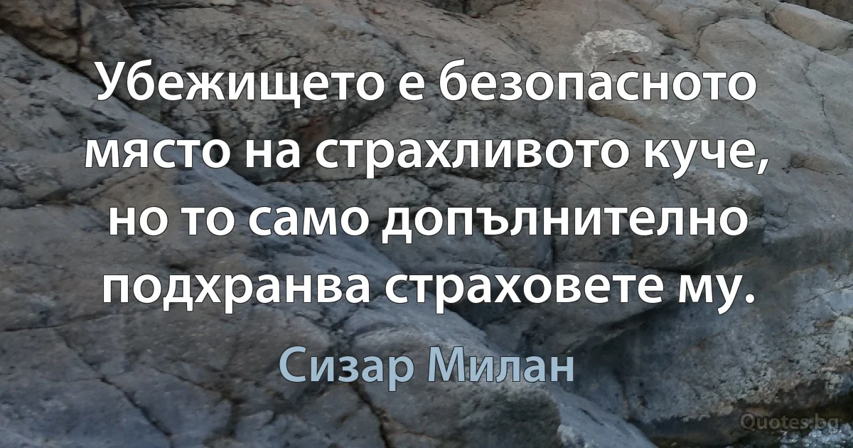 Убежището е безопасното място на страхливото куче, но то само допълнително подхранва страховете му. (Сизар Милан)