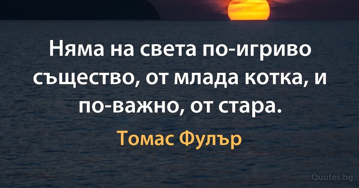 Няма на света по-игриво същество, от млада котка, и по-важно, от стара. (Томас Фулър)