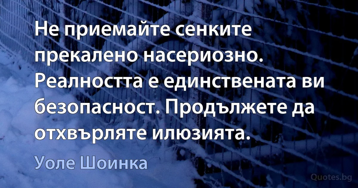 Не приемайте сенките прекалено насериозно. Реалността е единствената ви безопасност. Продължете да отхвърляте илюзията. (Уоле Шоинка)