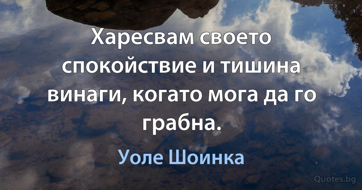 Харесвам своето спокойствие и тишина винаги, когато мога да го грабна. (Уоле Шоинка)