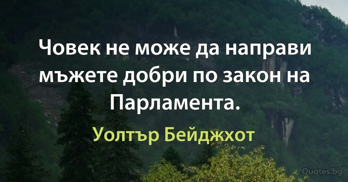 Човек не може да направи мъжете добри по закон на Парламента. (Уолтър Бейджхот)