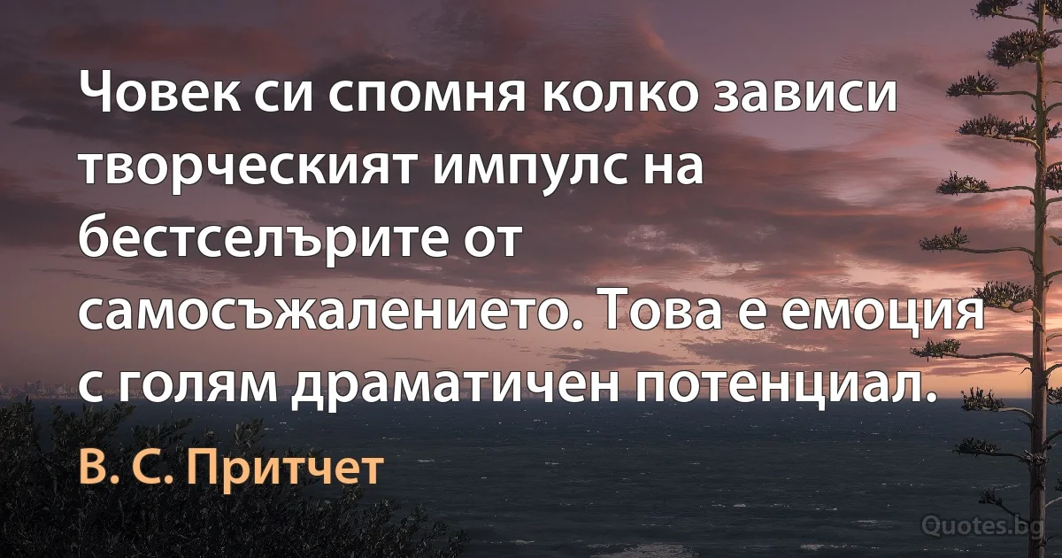 Човек си спомня колко зависи творческият импулс на бестселърите от самосъжалението. Това е емоция с голям драматичен потенциал. (В. С. Притчет)