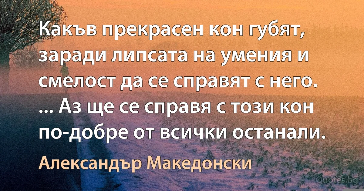 Какъв прекрасен кон губят, заради липсата на умения и смелост да се справят с него. ... Аз ще се справя с този кон по-добре от всички останали. (Александър Македонски)