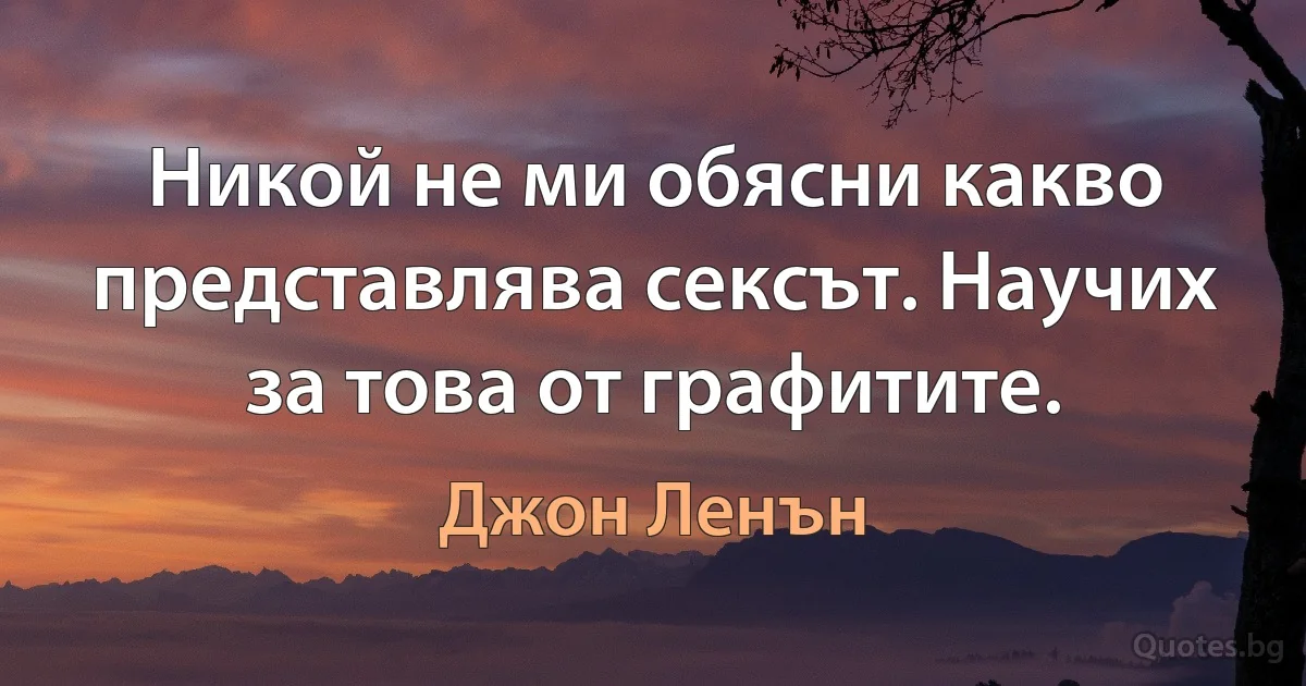 Никой не ми обясни какво представлява сексът. Научих за това от графитите. (Джон Ленън)