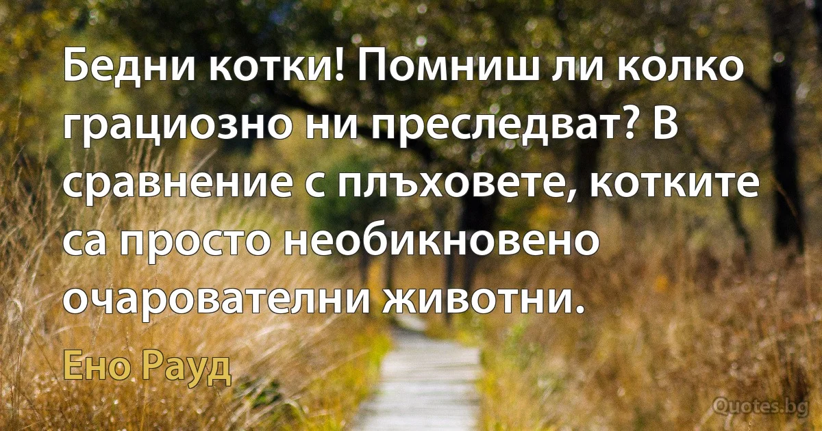 Бедни котки! Помниш ли колко грациозно ни преследват? В сравнение с плъховете, котките са просто необикновено очарователни животни. (Ено Рауд)