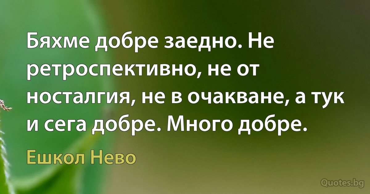 Бяхме добре заедно. Не ретроспективно, не от носталгия, не в очакване, а тук и сега добре. Много добре. (Ешкол Нево)