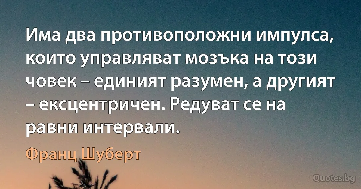 Има два противоположни импулса, които управляват мозъка на този човек – единият разумен, а другият – ексцентричен. Редуват се на равни интервали. (Франц Шуберт)