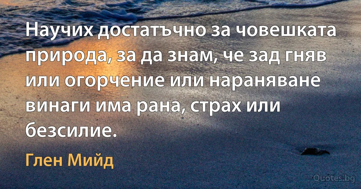 Научих достатъчно за човешката природа, за да знам, че зад гняв или огорчение или нараняване винаги има рана, страх или безсилие. (Глен Мийд)