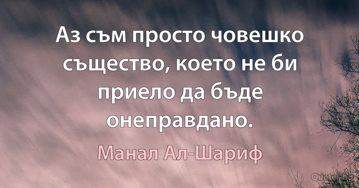 Аз съм просто човешко същество, което не би приело да бъде онеправдано. (Манал Ал-Шариф)