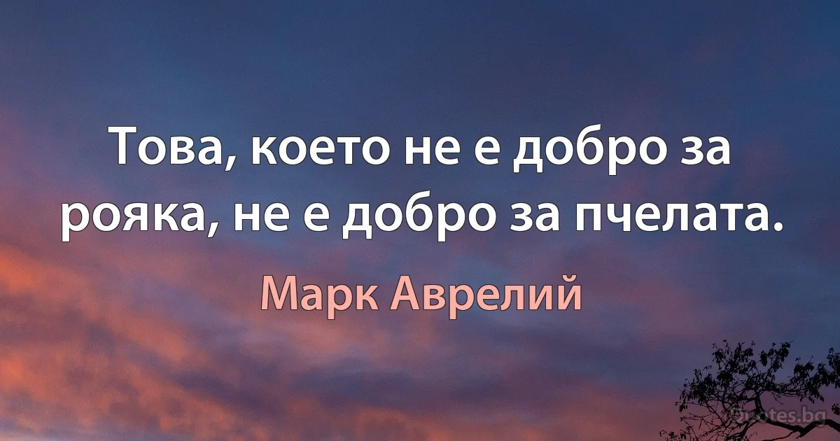 Това, което не е добро за рояка, не е добро за пчелата. (Марк Аврелий)