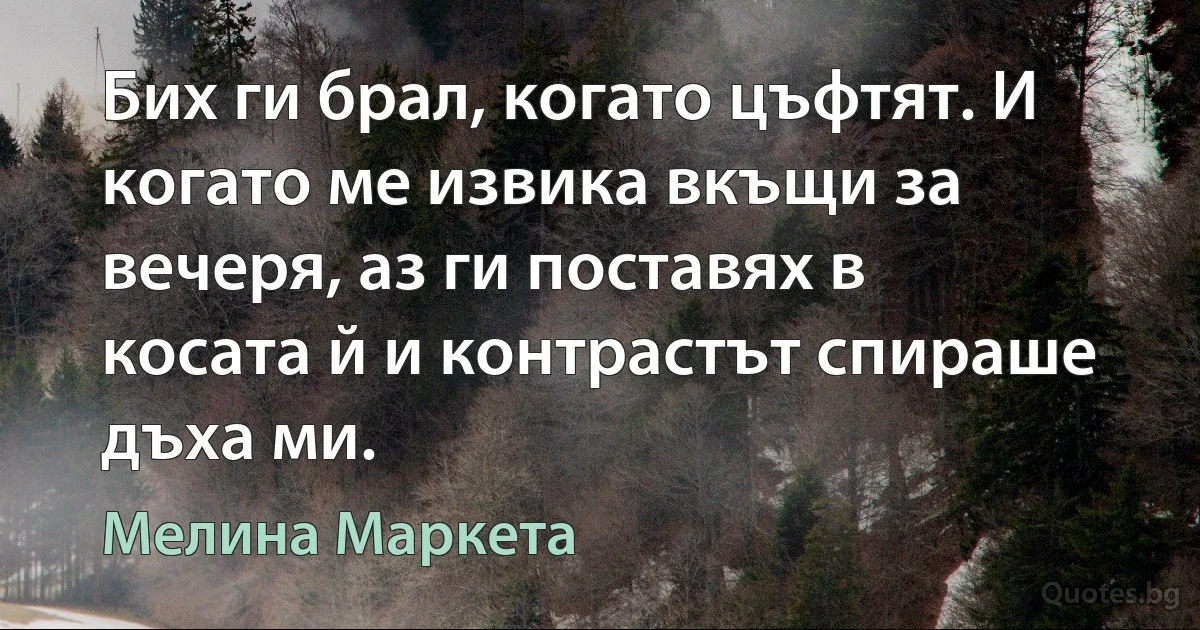 Бих ги брал, когато цъфтят. И когато ме извика вкъщи за вечеря, аз ги поставях в косата й и контрастът спираше дъха ми. (Мелина Маркета)