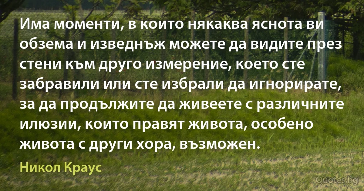 Има моменти, в които някаква яснота ви обзема и изведнъж можете да видите през стени към друго измерение, което сте забравили или сте избрали да игнорирате, за да продължите да живеете с различните илюзии, които правят живота, особено живота с други хора, възможен. (Никол Краус)