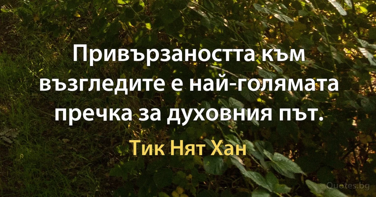 Привързаността към възгледите е най-голямата пречка за духовния път. (Тик Нят Хан)