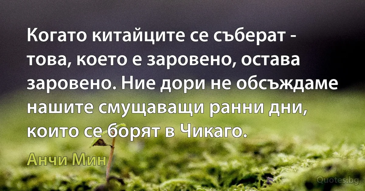 Когато китайците се съберат - това, което е заровено, остава заровено. Ние дори не обсъждаме нашите смущаващи ранни дни, които се борят в Чикаго. (Анчи Мин)