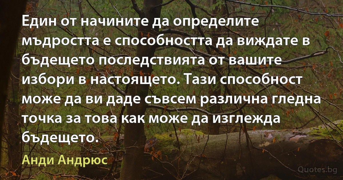 Един от начините да определите мъдростта е способността да виждате в бъдещето последствията от вашите избори в настоящето. Тази способност може да ви даде съвсем различна гледна точка за това как може да изглежда бъдещето. (Анди Андрюс)