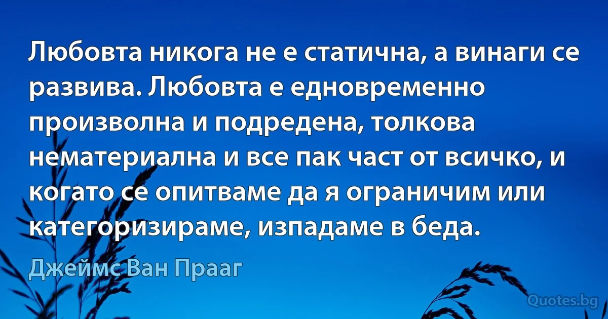 Любовта никога не е статична, а винаги се развива. Любовта е едновременно произволна и подредена, толкова нематериална и все пак част от всичко, и когато се опитваме да я ограничим или категоризираме, изпадаме в беда. (Джеймс Ван Прааг)