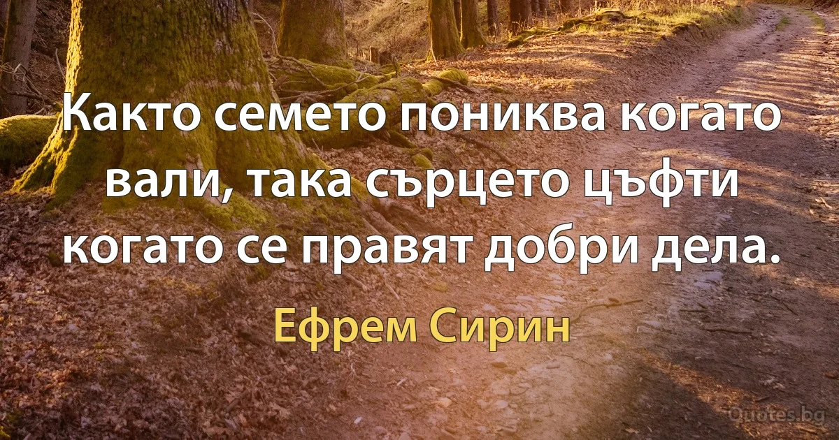 Както семето пониква когато вали, така сърцето цъфти когато се правят добри дела. (Ефрем Сирин)