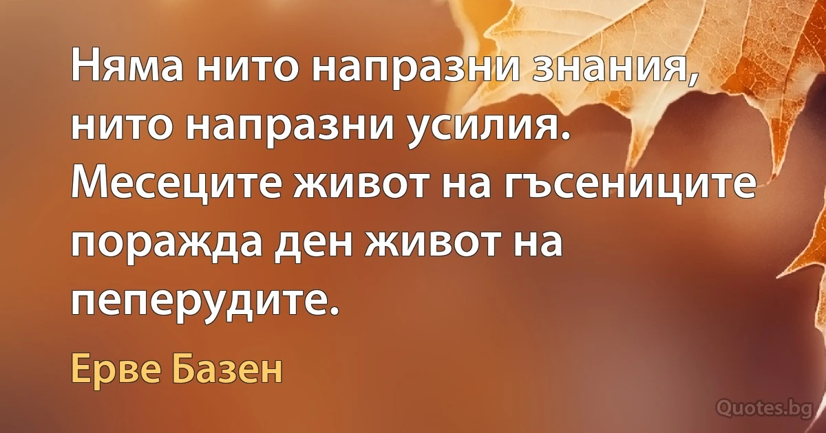 Няма нито напразни знания, нито напразни усилия. Месеците живот на гъсениците поражда ден живот на пеперудите. (Ерве Базен)