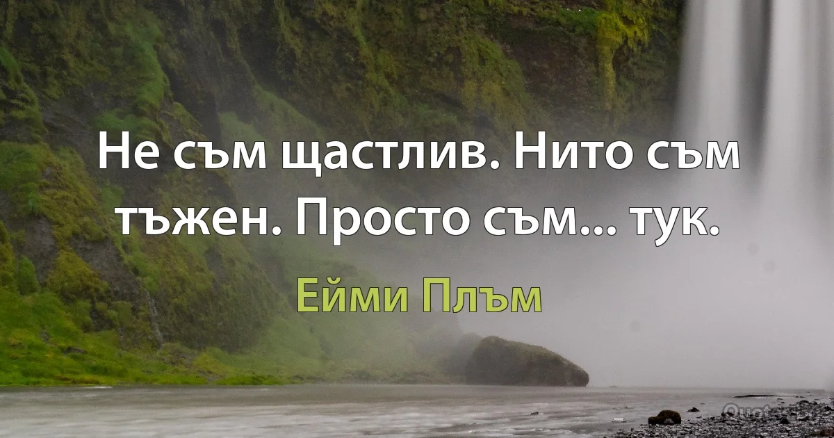 Не съм щастлив. Нито съм тъжен. Просто съм... тук. (Ейми Плъм)