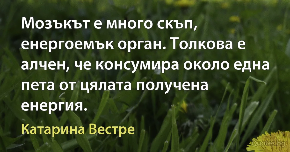 Мозъкът е много скъп, енергоемък орган. Толкова е алчен, че консумира около една пета от цялата получена енергия. (Катарина Вестре)