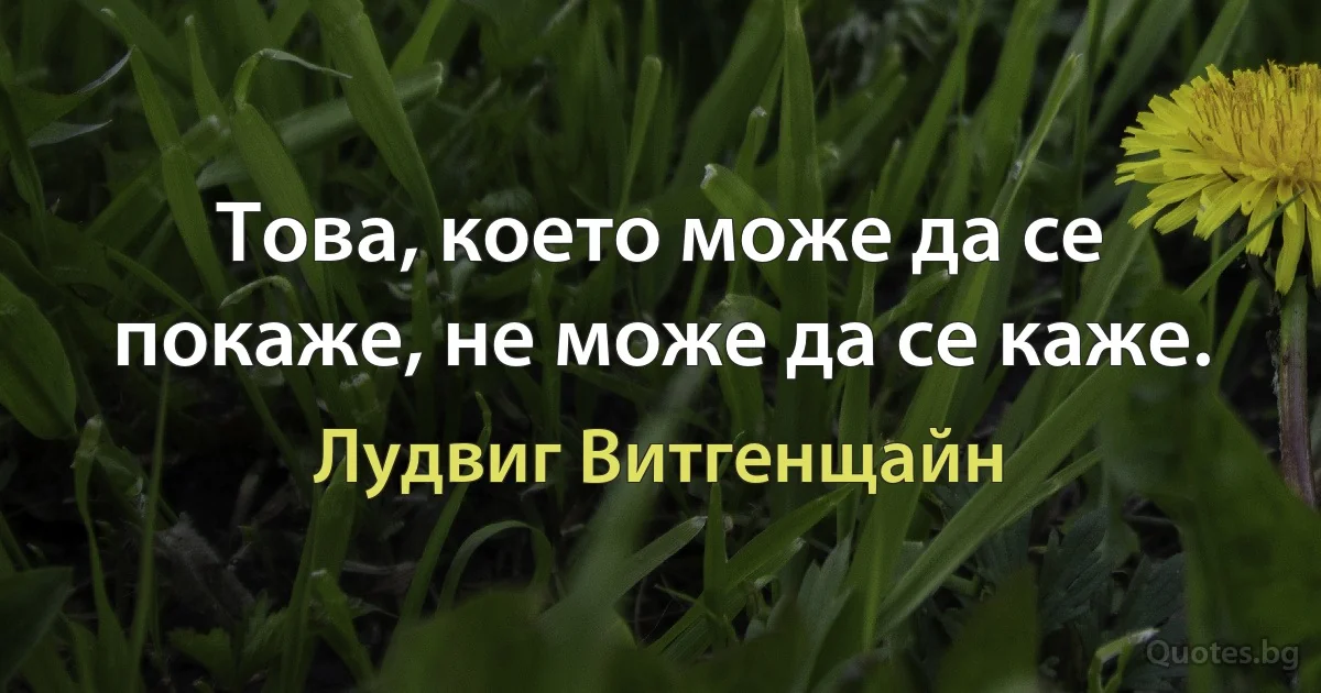 Това, което може да се покаже, не може да се каже. (Лудвиг Витгенщайн)