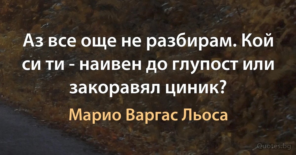 Аз все още не разбирам. Кой си ти - наивен до глупост или закоравял циник? (Марио Варгас Льоса)