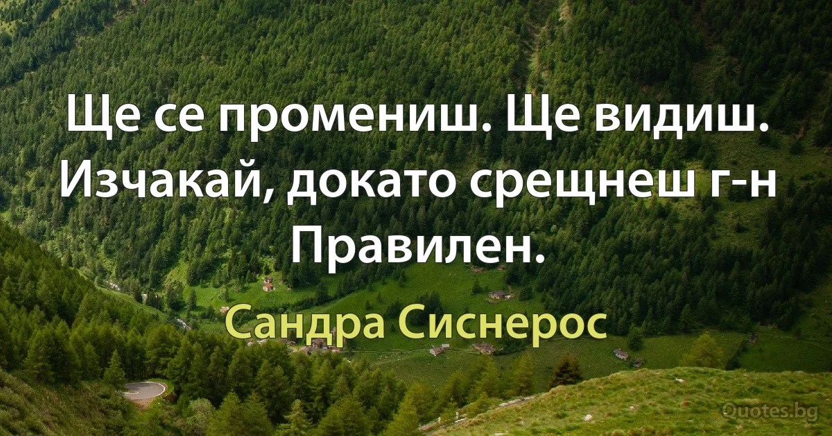 Ще се промениш. Ще видиш. Изчакай, докато срещнеш г-н Правилен. (Сандра Сиснерос)