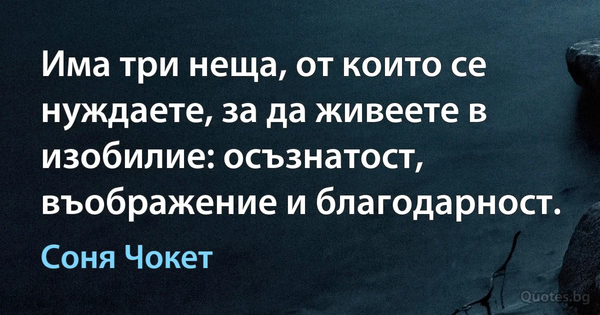 Има три неща, от които се нуждаете, за да живеете в изобилие: осъзнатост, въображение и благодарност. (Соня Чокет)