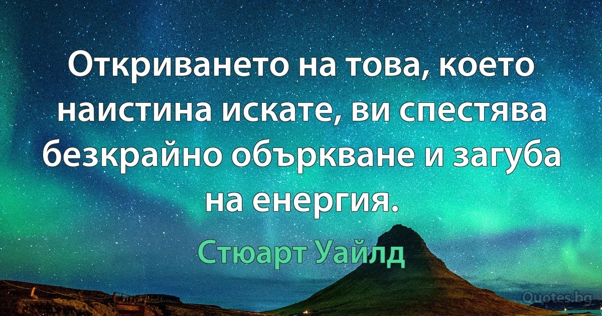 Откриването на това, което наистина искате, ви спестява безкрайно объркване и загуба на енергия. (Стюарт Уайлд)