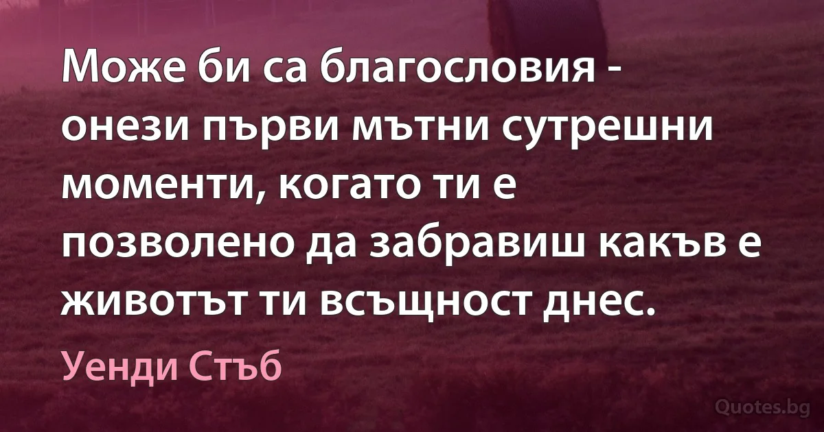 Може би са благословия - онези първи мътни сутрешни моменти, когато ти е позволено да забравиш какъв е животът ти всъщност днес. (Уенди Стъб)