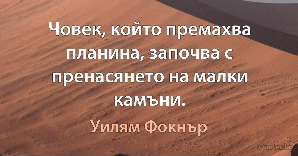 Човек, който премахва планина, започва с пренасянето на малки камъни. (Уилям Фокнър)