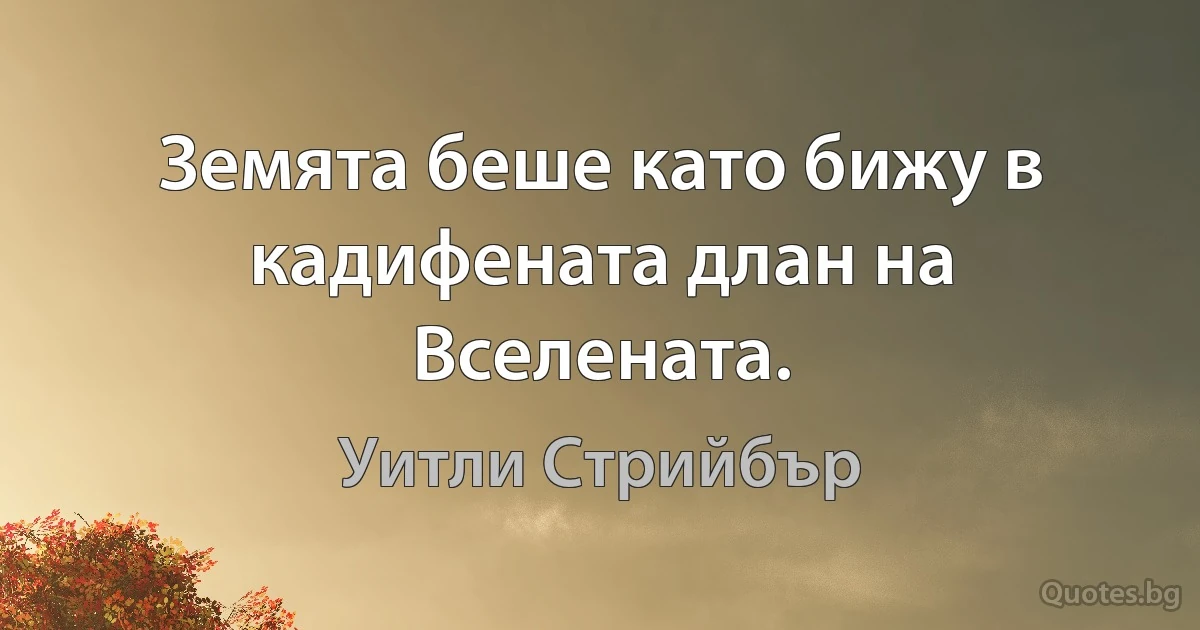 Земята беше като бижу в кадифената длан на Вселената. (Уитли Стрийбър)