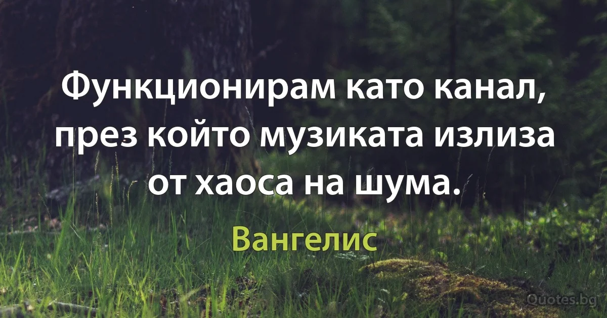 Функционирам като канал, през който музиката излиза от хаоса на шума. (Вангелис)