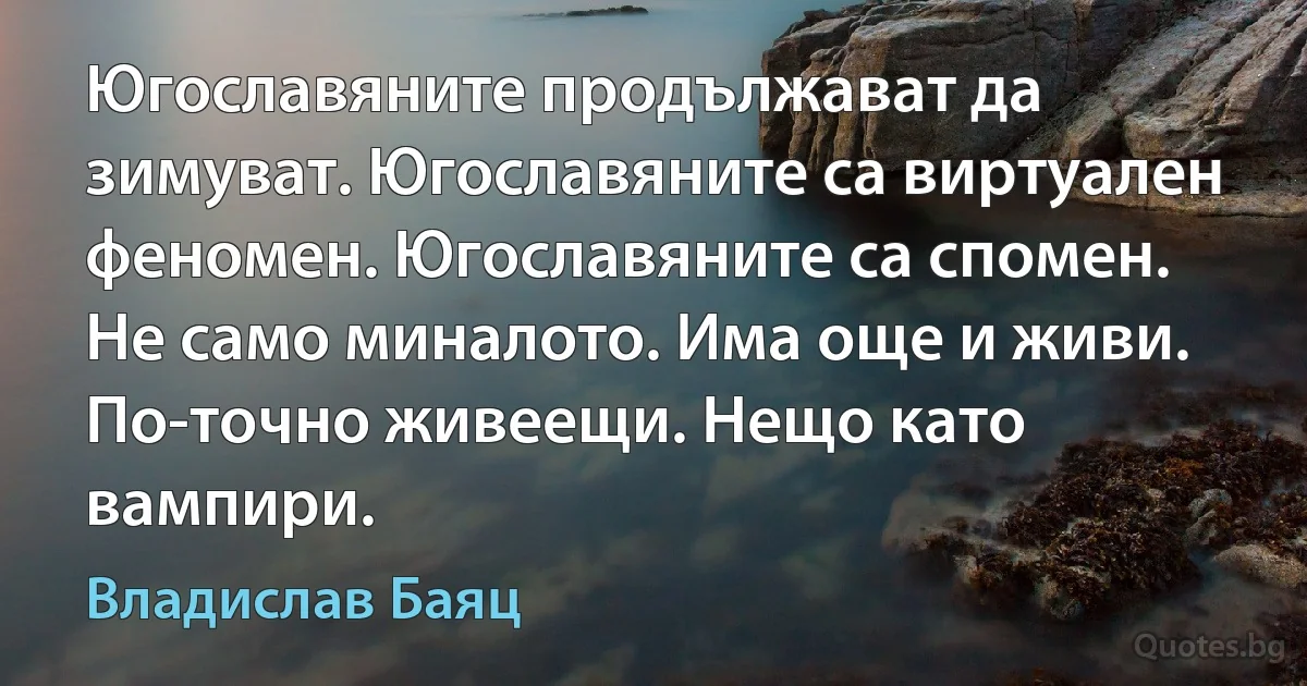 Югославяните продължават да зимуват. Югославяните са виртуален феномен. Югославяните са спомен. Не само миналото. Има още и живи. По-точно живеещи. Нещо като вампири. (Владислав Баяц)