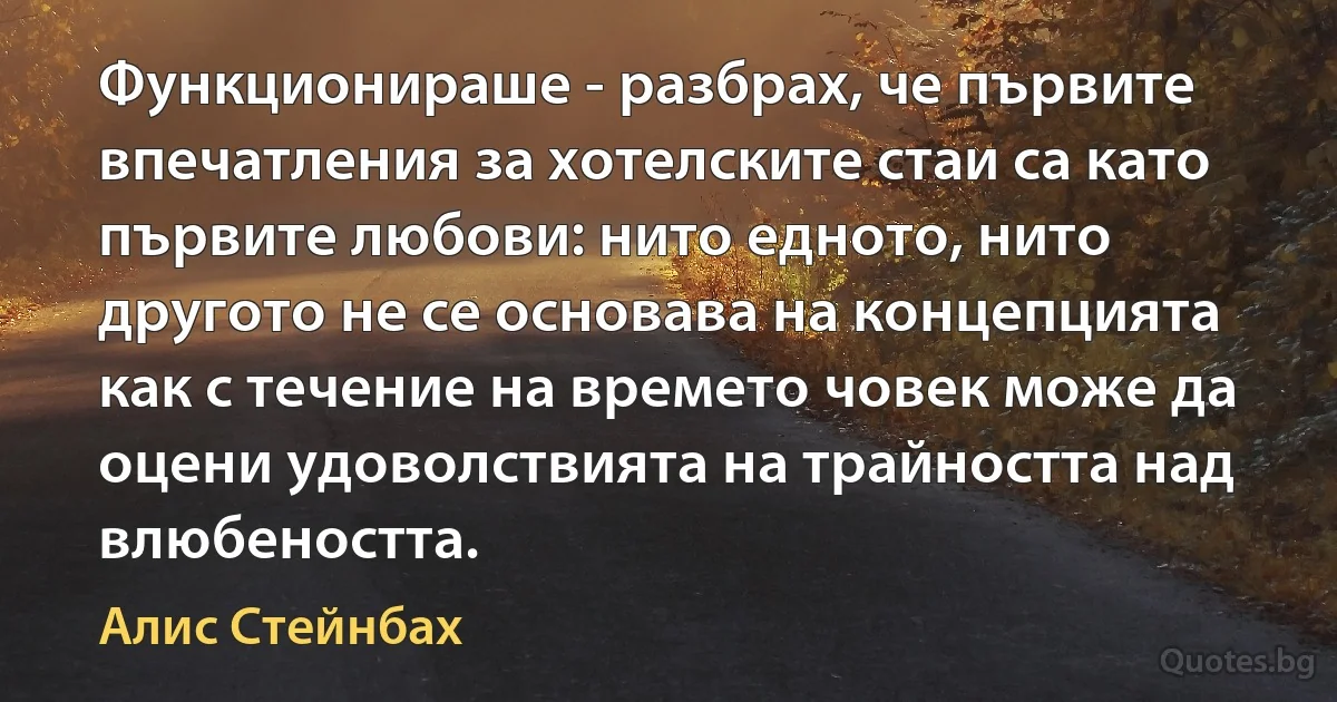 Функционираше - разбрах, че първите впечатления за хотелските стаи са като първите любови: нито едното, нито другото не се основава на концепцията как с течение на времето човек може да оцени удоволствията на трайността над влюбеността. (Алис Стейнбах)