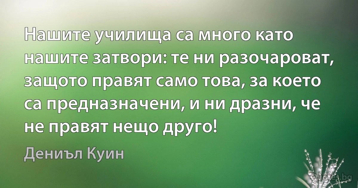 Нашите училища са много като нашите затвори: те ни разочароват, защото правят само това, за което са предназначени, и ни дразни, че не правят нещо друго! (Дениъл Куин)