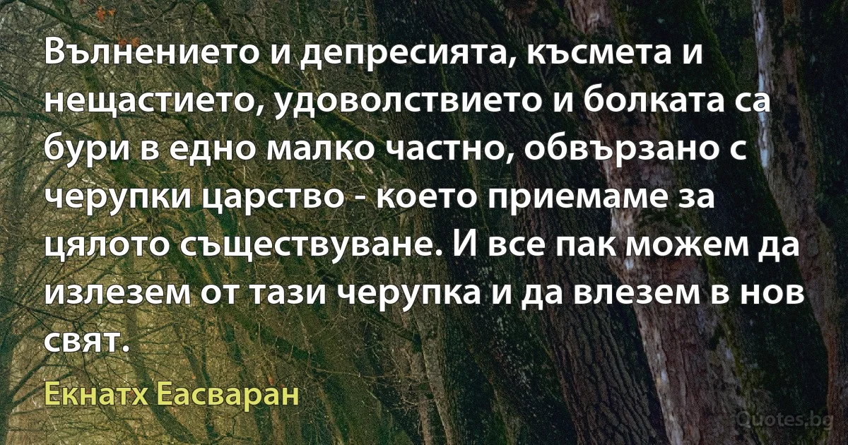 Вълнението и депресията, късмета и нещастието, удоволствието и болката са бури в едно малко частно, обвързано с черупки царство - което приемаме за цялото съществуване. И все пак можем да излезем от тази черупка и да влезем в нов свят. (Екнатх Еасваран)