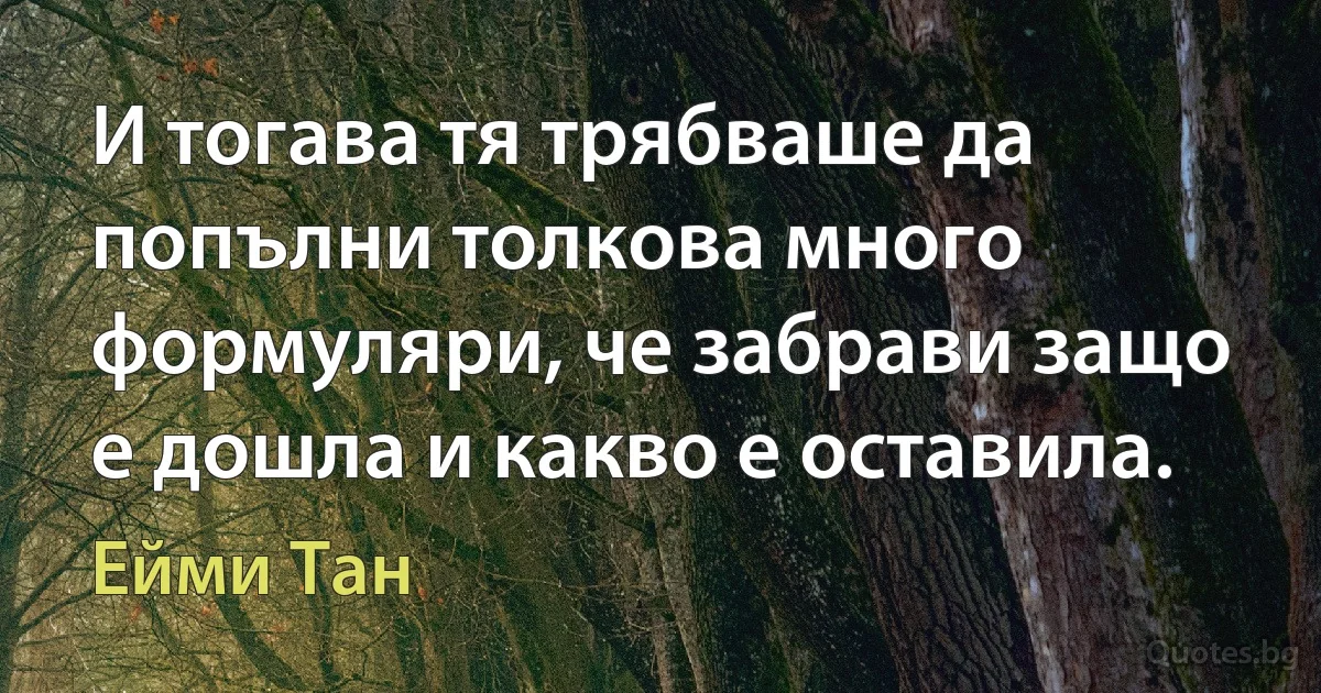 И тогава тя трябваше да попълни толкова много формуляри, че забрави защо е дошла и какво е оставила. (Ейми Тан)