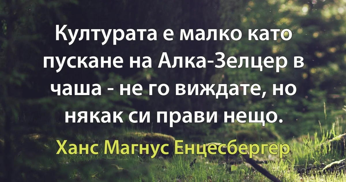 Културата е малко като пускане на Алка-Зелцер в чаша - не го виждате, но някак си прави нещо. (Ханс Магнус Енцесбергер)