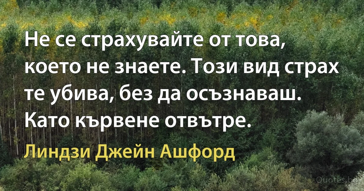 Не се страхувайте от това, което не знаете. Този вид страх те убива, без да осъзнаваш. Като кървене отвътре. (Линдзи Джейн Ашфорд)