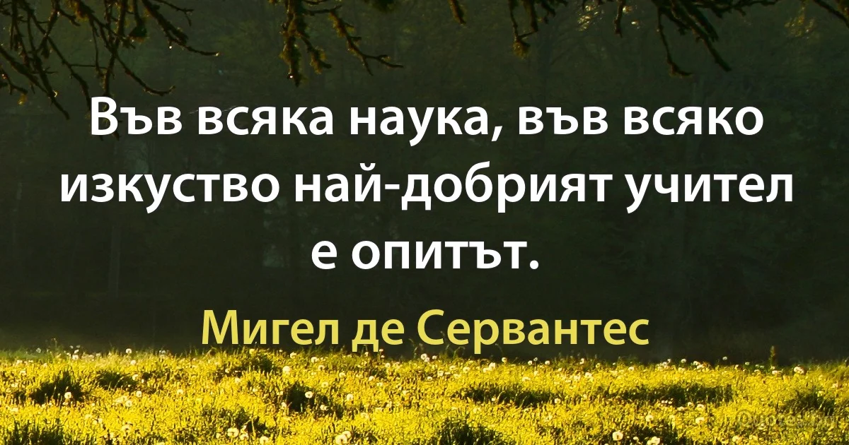 Във всяка наука, във всяко изкуство най-добрият учител е опитът. (Мигел де Сервантес)