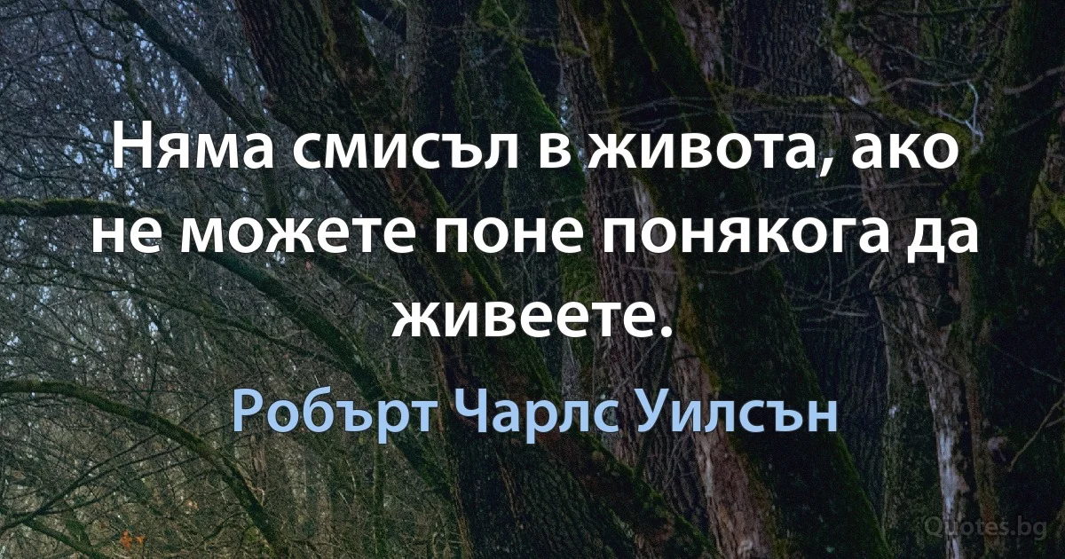 Няма смисъл в живота, ако не можете поне понякога да живеете. (Робърт Чарлс Уилсън)