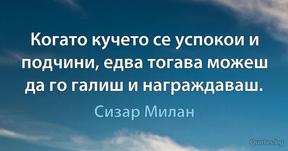 Когато кучето се успокои и подчини, едва тогава можеш да го галиш и награждаваш. (Сизар Милан)