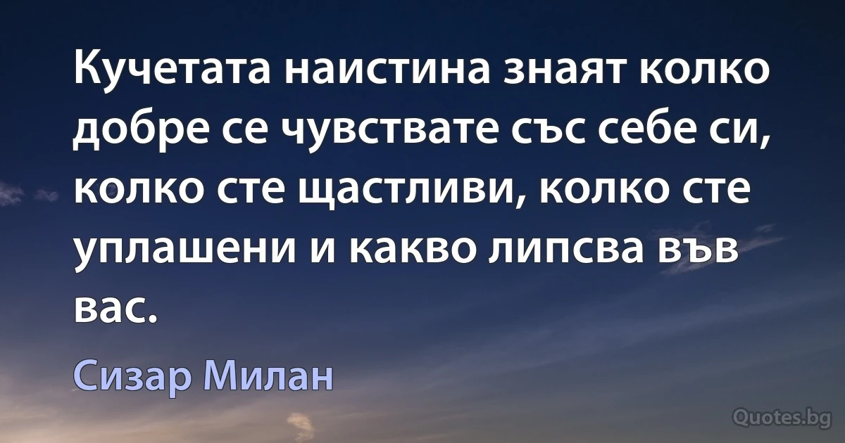 Кучетата наистина знаят колко добре се чувствате със себе си, колко сте щастливи, колко сте уплашени и какво липсва във вас. (Сизар Милан)