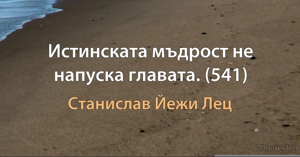 Истинската мъдрост не напуска главата. (541) (Станислав Йежи Лец)