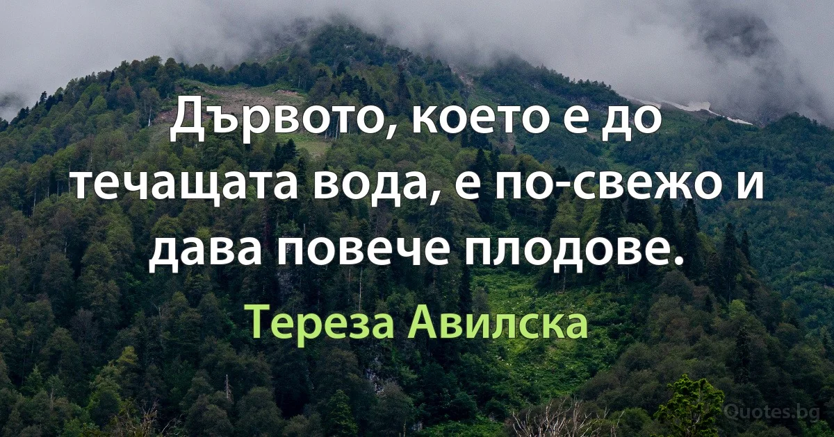 Дървото, което е до течащата вода, е по-свежо и дава повече плодове. (Тереза Авилска)