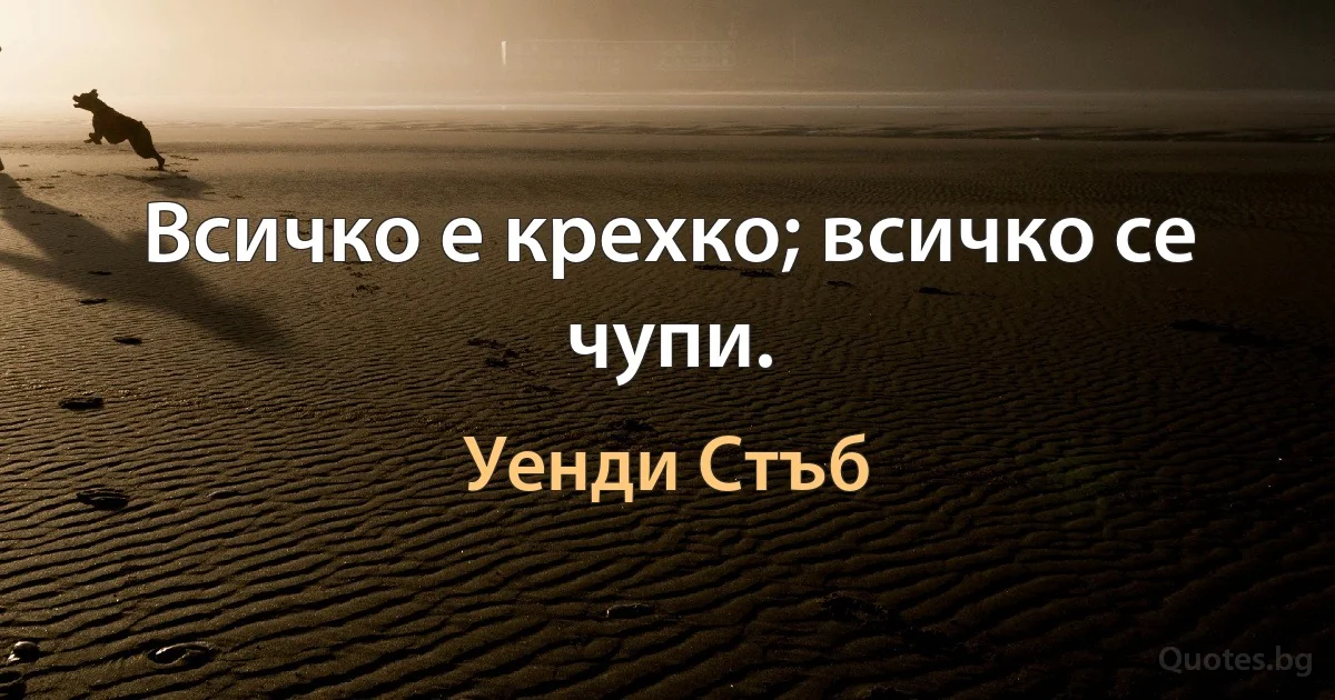 Всичко е крехко; всичко се чупи. (Уенди Стъб)