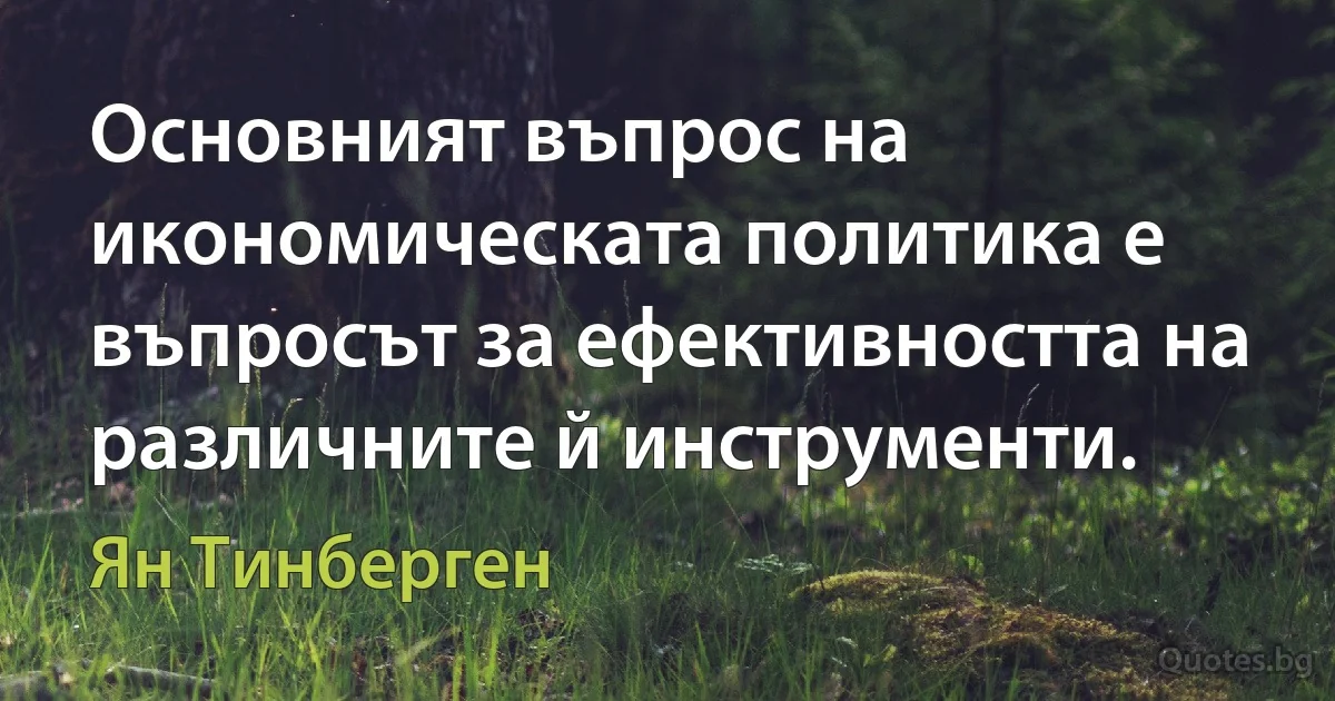 Основният въпрос на икономическата политика е въпросът за ефективността на различните й инструменти. (Ян Тинберген)