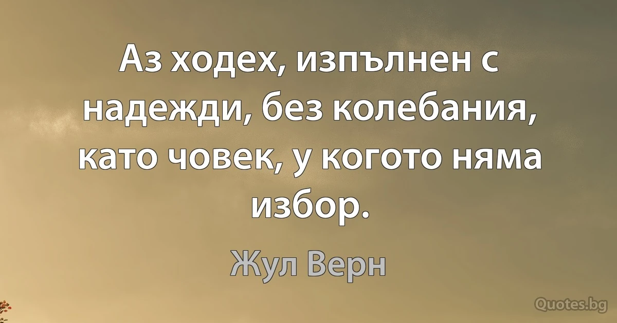 Аз ходех, изпълнен с надежди, без колебания, като човек, у когото няма избор. (Жул Верн)